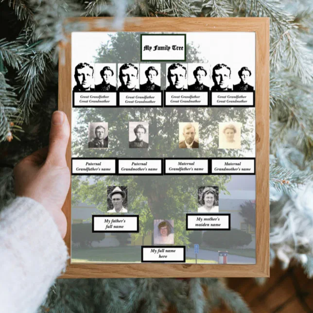 Muted Generation Muted Four-Generation Summertime Family Tree Photo Poster | Zazzle
