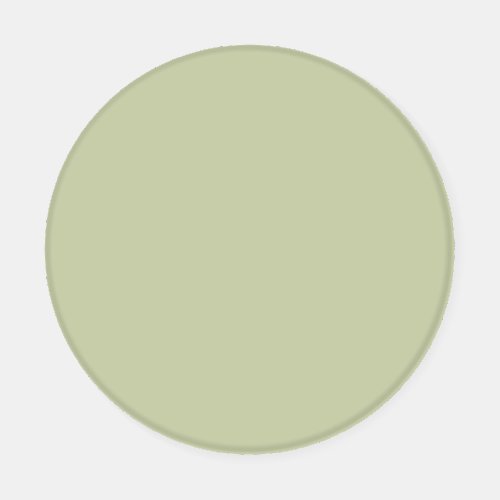 Muted Pastel Green Solid Color Pairs To SW 6436 Coaster Set