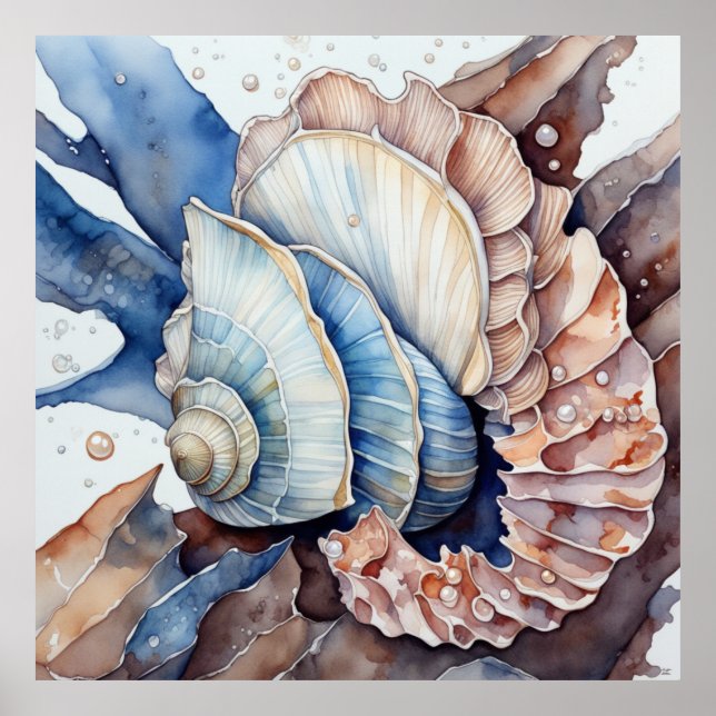 Muted Red and Blue Conch Shell Poster (Front)