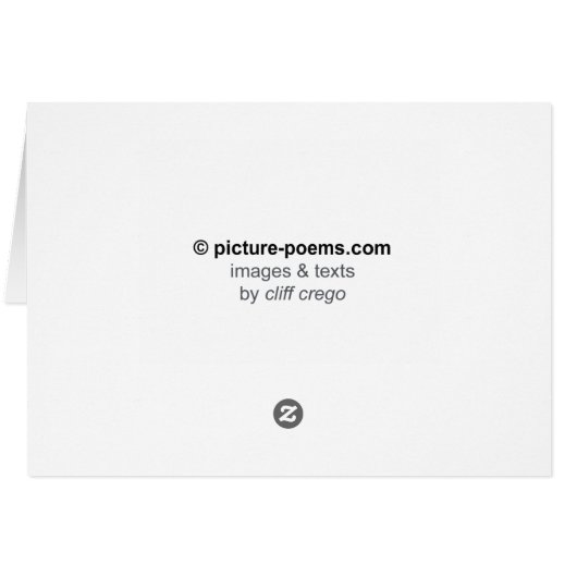 MUTED SNAKE: December River (Back Horizontal)