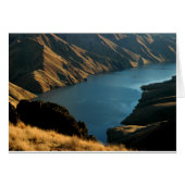 MUTED SNAKE: December River (Front Horizontal)