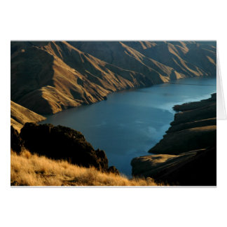 MUTED SNAKE: December River Cards