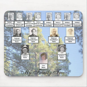 Muted Tall Pine Trees Family Tree Photos Mouse Pad