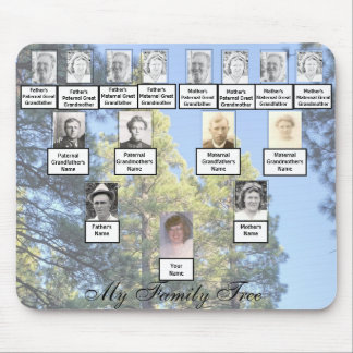 Muted Tall Pine Trees Family Tree Photos Mouse Pad