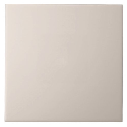 Muted Taupe Gray Ceramic Tile