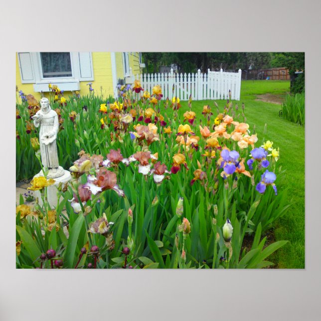 Mutil Colored Iris Flower Poster (Front)