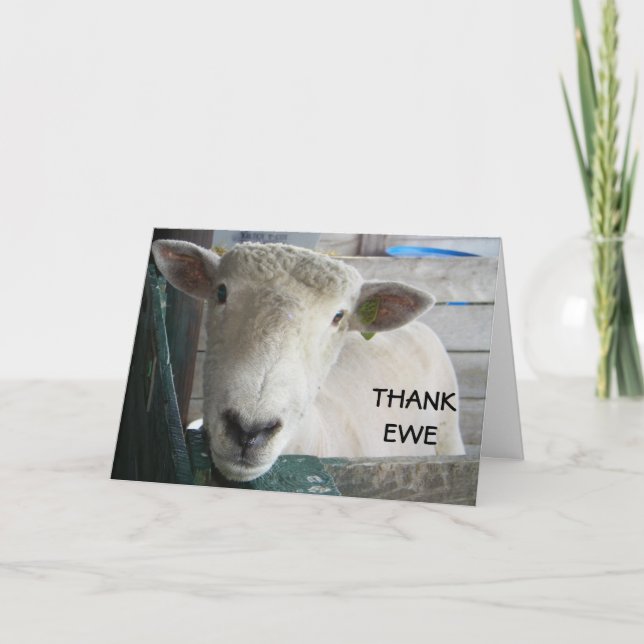 MUTTON MORE TO SAY - THANK EWE THANK YOU CARD (Front)