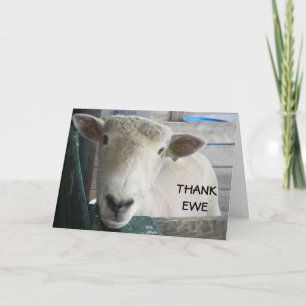 MUTTON MORE TO SAY - THANK EWE YOU CARD