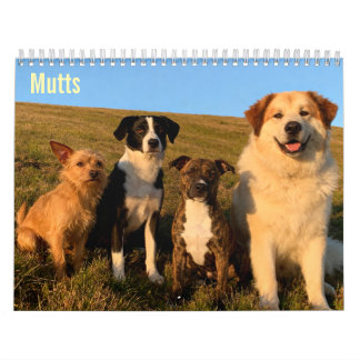 Mutts 2027 Wall calendar