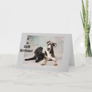 mutual birthday,shared birthday,same birthday,our  card
