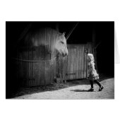 Mutual Curiosity (Front Horizontal)