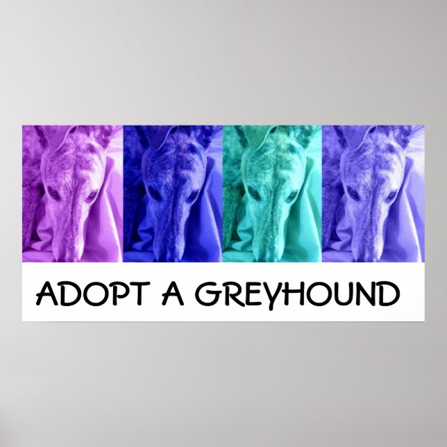 Mx4 Adopt a Greyhound Poster (Front)