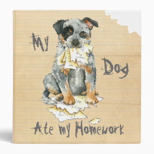 My ACD Ate My Homework Binder