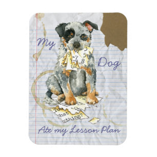 My ACD Ate My Lesson Plan Magnet