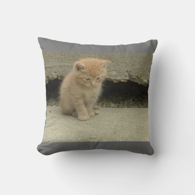 My Adorable Orange Tabby Kitten Throw Pillow (Front)