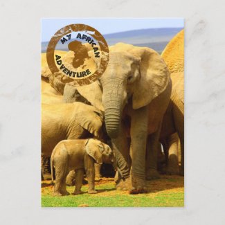 My African Adventure Elephant Mother And Calf