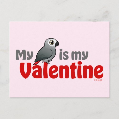 My African Grey Is My Valentine Holiday Postcard