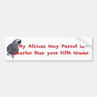 My African Grey Parrot... Bumper Sticker