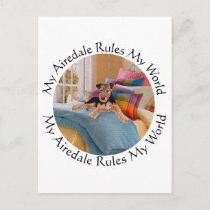 My Airedale Rules My World Postcard