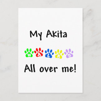 My Akita Walks All over Me Postcard
