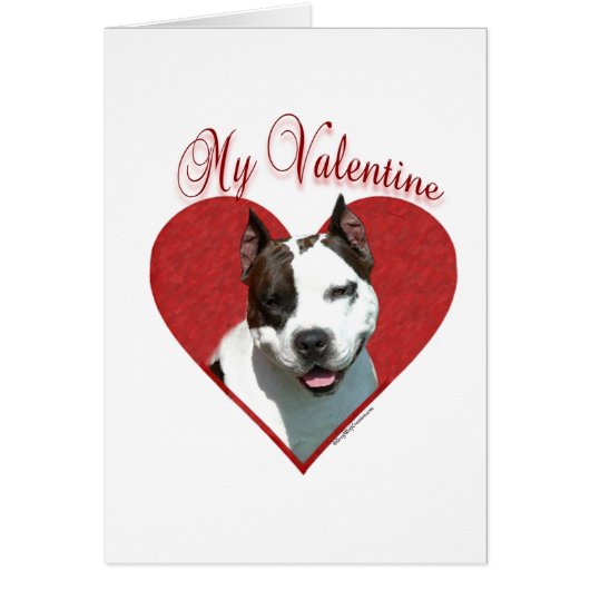 My AmStaff Valentine (Front)