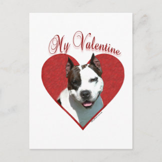 My AmStaff Valentine Holiday Postcard