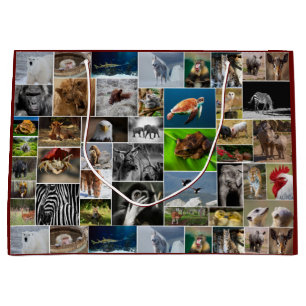 "My Animal Kingdom" Wild Animal Gift Bag