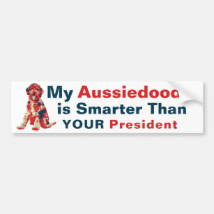 My Aussiedoodle is Smarter than Your President Bumper Sticker