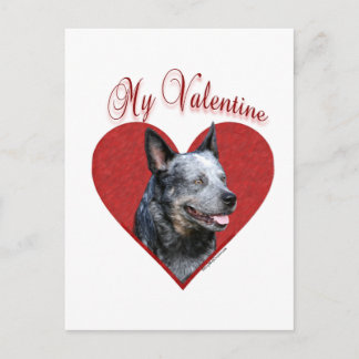 My Australian Cattle Dog Valentine Holiday Postcard