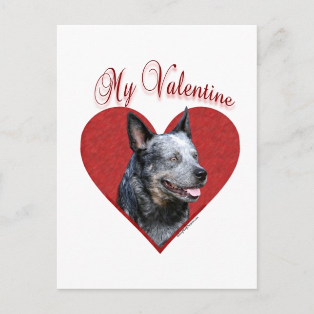 My Australian Cattle Dog Valentine Holiday Postcard (Front)