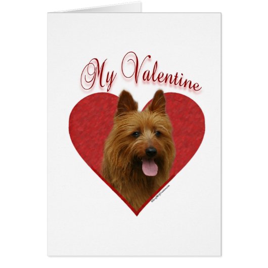 My Australian Terrier Valentine (Front)