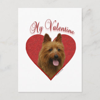 My Australian Terrier Valentine Holiday Postcard