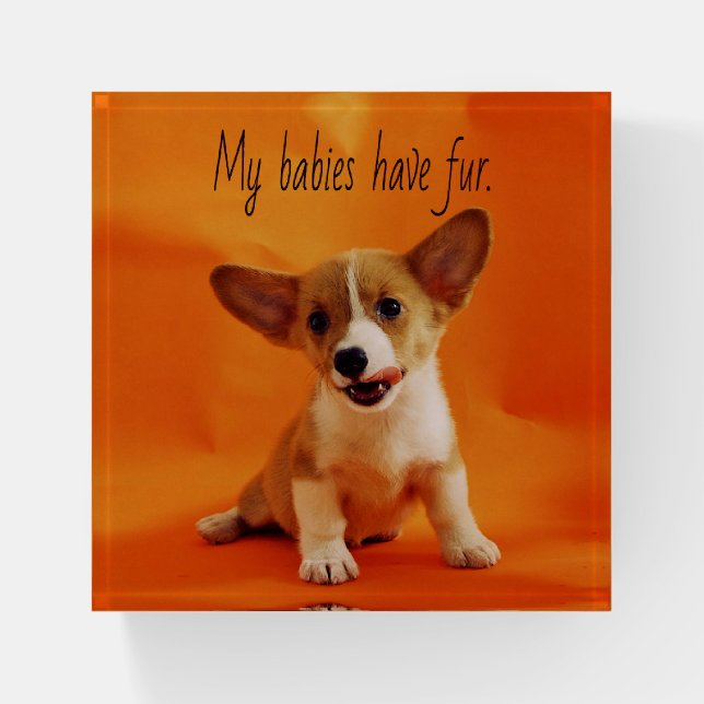 My babies have fur dog, cute puppies, puppy paperweight (Front)