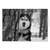 My Baby Blue Eyes (Front Horizontal)