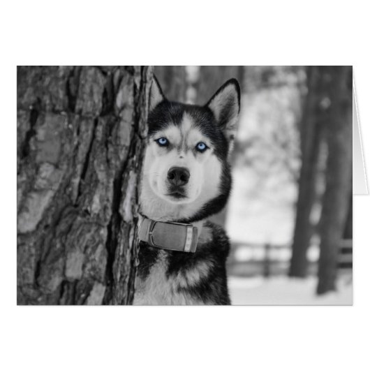 My Baby Blue Eyes (Front Horizontal)