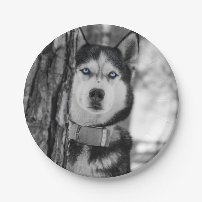 My Baby Blue Eyes Paper Plates (Front)