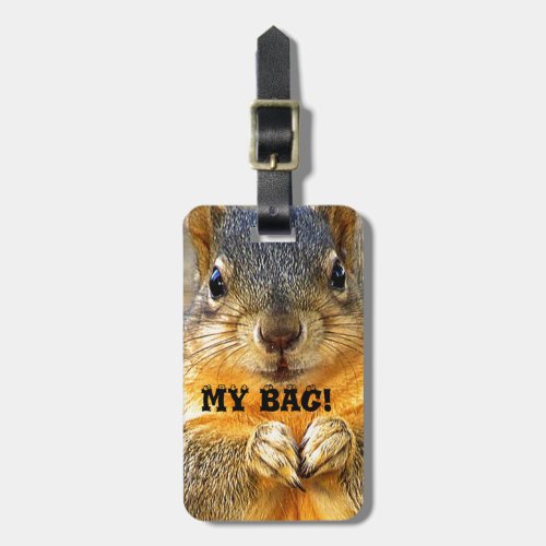 MY BAG Squirrel Love_ Luggage Tag