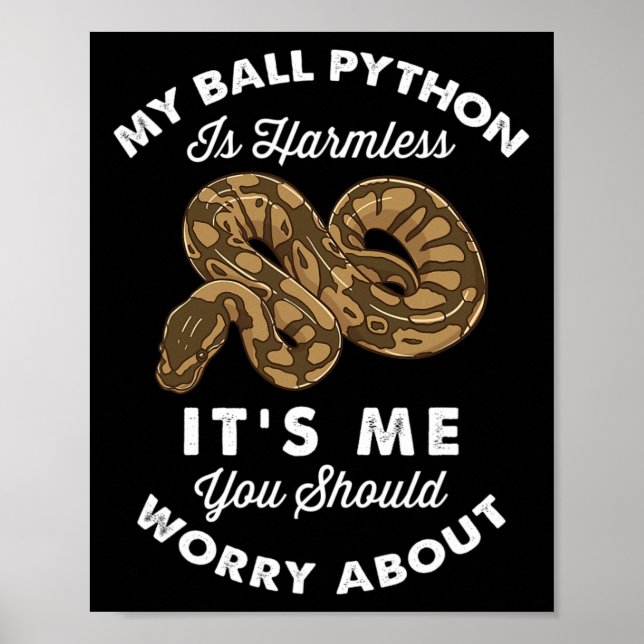 My Ball Python Is Harmless It's Me You Should Worr Poster (Front)