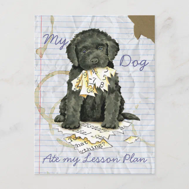 My Barbet Ate My Lesson Plan Postcard Zazzle