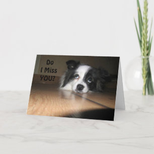 MY BARK IS BROKE I MISS U SO MUCH! CARD