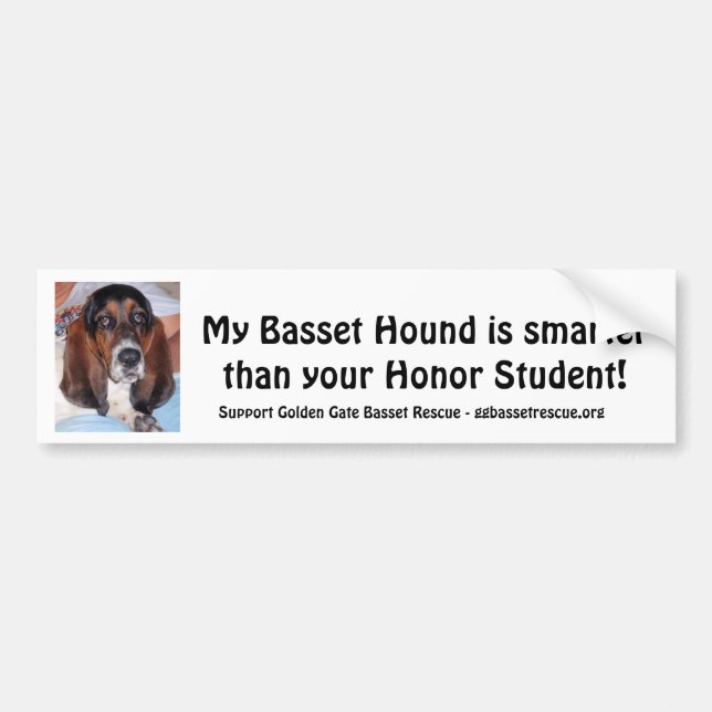 My Basset Hound is smarter than ..... Bumper Sticker (Front)