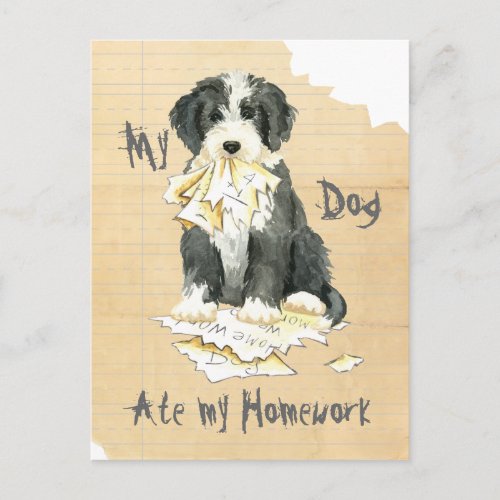 My Bearded Collie Ate My Homework Postcard