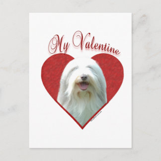 My Bearded Collie Valentine Holiday Postcard