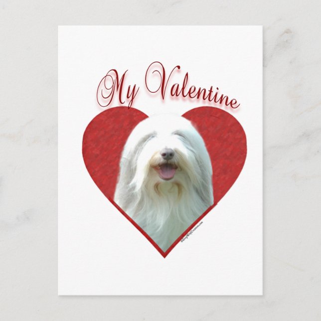 My Bearded Collie Valentine Holiday Postcard (Front)