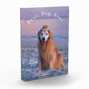 My  Beautiful Dog Acrylic Photo Block 