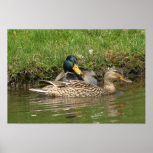 My Beautiful Girl Poster