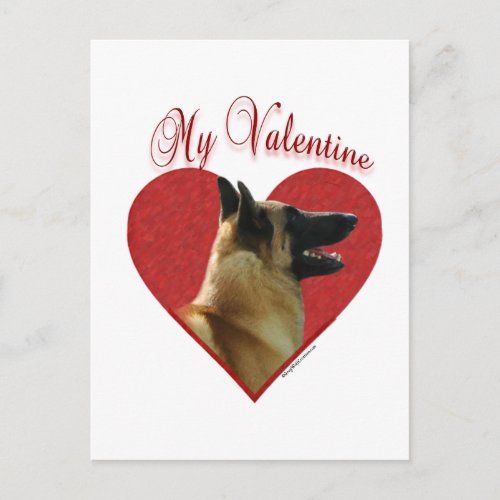 My Belgian Malinois Valentine Holiday Postcard