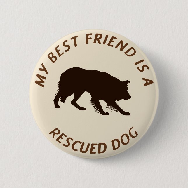 My Best Friend (Border Collie) Pinback Button (Front)