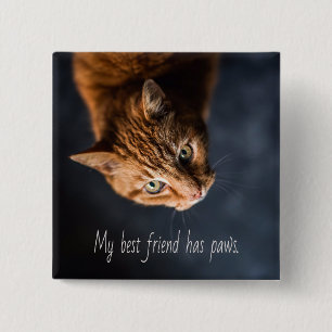 My best friend has paws, Cat Kitten Cute Button