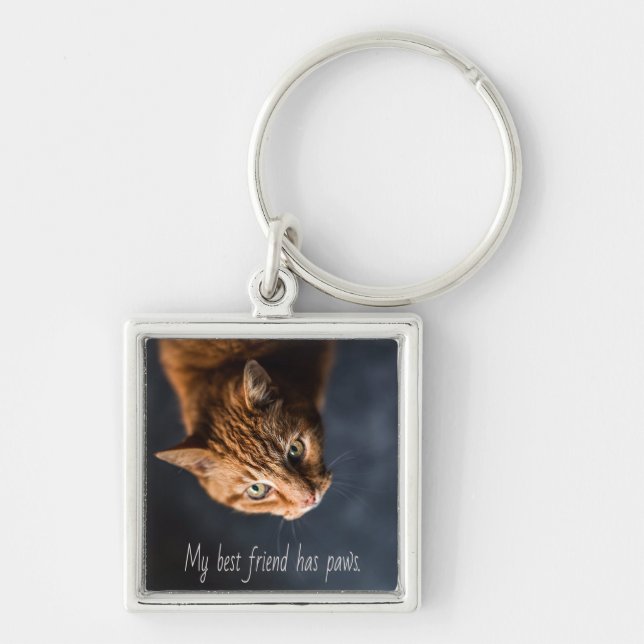 My best friend has paws, Cat Kitten Cute Keychain (Front)